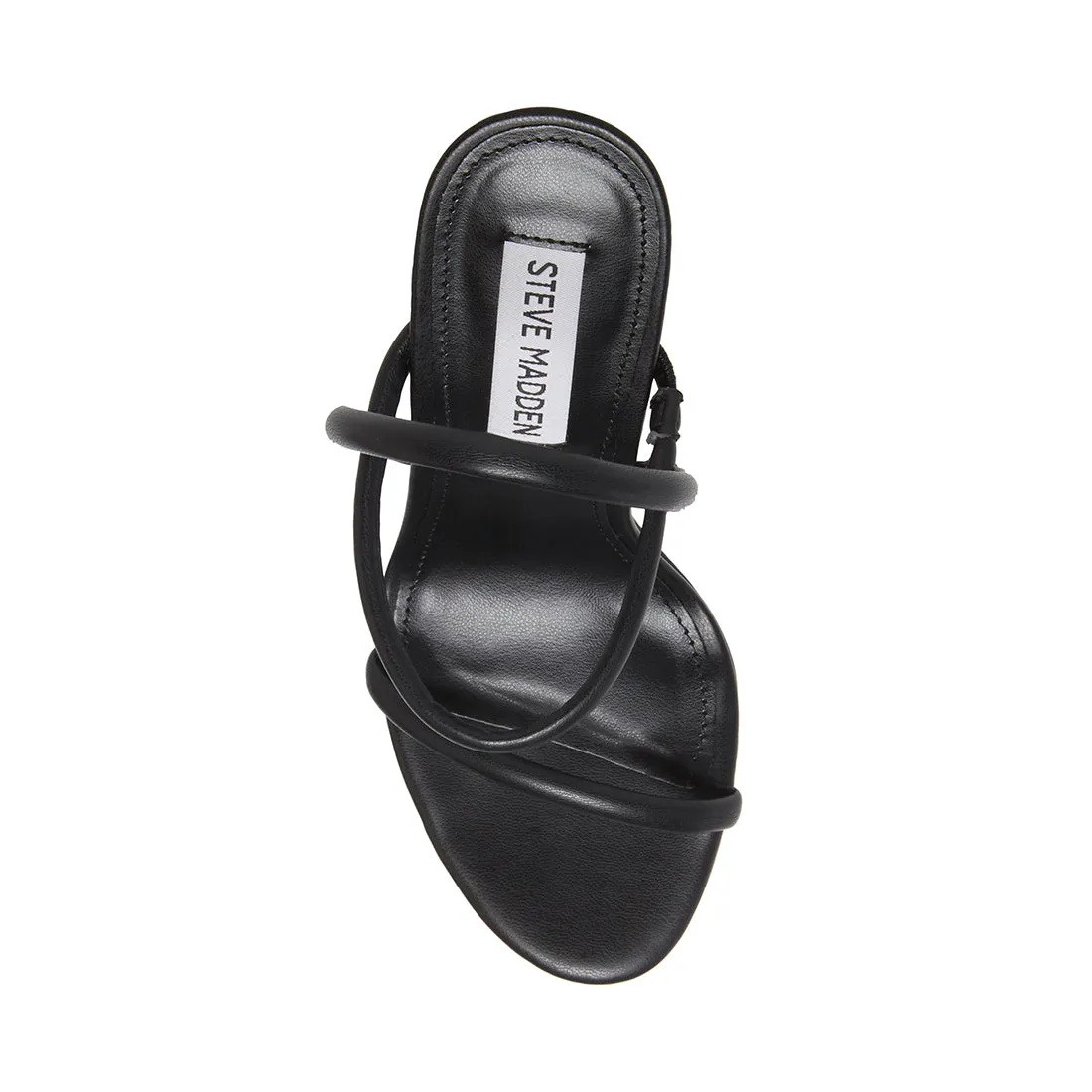 CAROLENA BLACK - SM REBOOTED